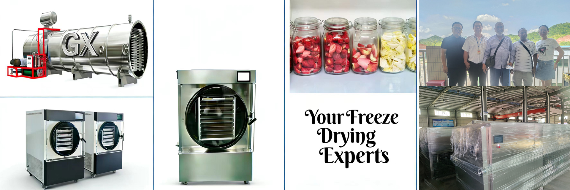 quality Home Freeze Dryer factory