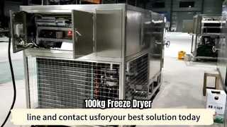 100kg Industrial Freeze Dryer For Food Production