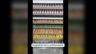 100kg Commercial Freeze Dryer For Food
