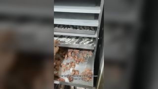 100kg Industrial Freeze Dryer Commercial Food