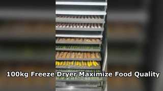 Large Capacity 100kg Industrial Freeze Drying Machine for Food