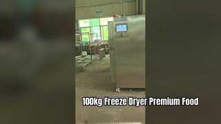 100kg Industrial Freeze Dryer Food Production