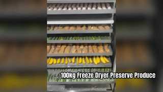 100kg Industrial Freeze Dryer Commercial Food Lyophilizer