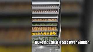 100kg Industrial Freeze Dryer For Commercial Food Production