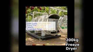 200kg Industrial Freeze Dryer For Sale