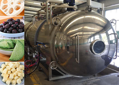 Industrial Grade Food Vacuum Freeze Dryer 300 Kg/Batch Industrial  freeze dryer freeze drying machin