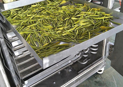 freeze dryer freeze drying machine dehydrated freeze dried food dehydrator freeze dryer