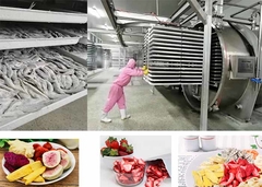 Industrial  freeze dryer freeze drying machine dehydrated freeze dried food dehydrator