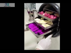 Home Freeze Dryer Lab Freeze Dryer Vacumme Machine