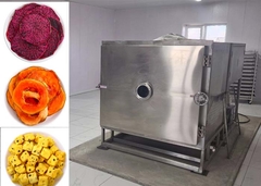 LyophilizerPro100kg | Industrial Food Vacuum Freeze Dryer‌