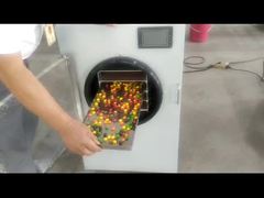 Stailess Steel Industrial-Grade Freeze Dryer with Advanced Drying Technology