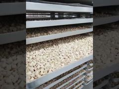 Watch: Built for Endurance: Low-Maintenance Industrial Freeze Dryer  Processing Showcase