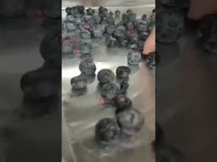 Watch: Industrial Lyophilizer Precision Drying for High-Value Ingredients  Bulk Contract singe