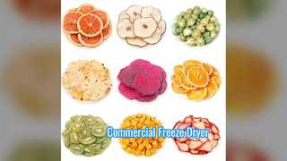 Industrial Freeze Dryer 100KG Commercial Scale