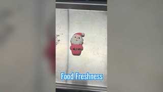 Freeze Dryer Preserve Food
