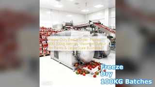100KG Freeze Dryer For Farms & Business