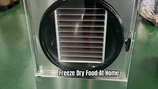 Home Freeze Dryer Preserve Food Long Term