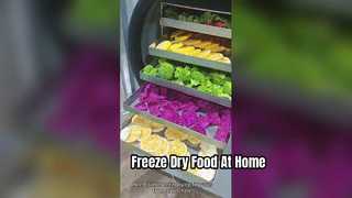 Home Freeze Dryer Preserve Food Good