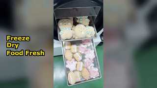 Home Freeze Dryer Preserve Foo