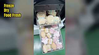 Home Freeze Dryer Preserve Food Freshness