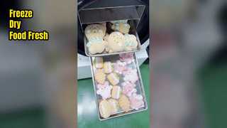 Home Freeze Dryer For Food Preservation