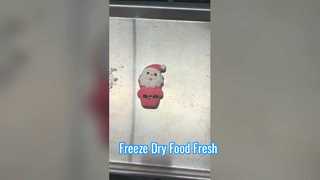 Home Freeze Dryer Preserves Food Freshness