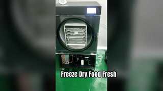 Freeze Dryer  Food