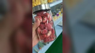 Home Freeze Dryer Preserves Food