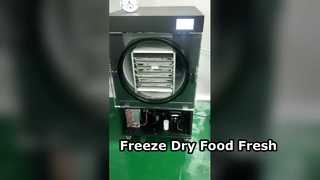 Freeze Dryer Preserves Food