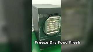 Home Freeze Dryer Preserve Food Effortlessly