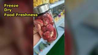 Home Freeze Dryer Preserve Food Maximize Nutrition