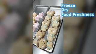 Home Freeze Dryer Preserves Food for Decades