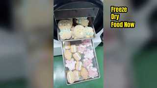 Home Freeze Dryer Saves Food & Money
