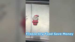 Home Freeze Dryer Preserve Food Save Money