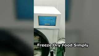 Home Freeze Dryer Preserves Food Simply