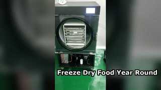 Home Freeze Dryer Preserve Food Year Round