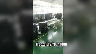 Home Freeze Dryer For Food