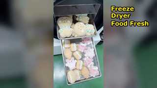 Home Freeze Dryer Preserve Food