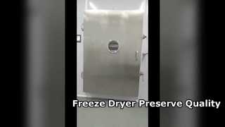 Industrial Freeze Dryer  Batch