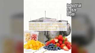 Industrial Freeze Dryer: High Volume Preservation