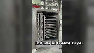 Industrial Freeze Dryer 1000kg Capacity