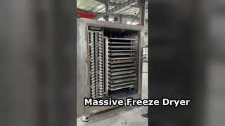 Industrial Freeze Dryer Boosts Food Production