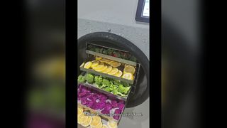 Home Freeze Dryer for Long Term Food Storage