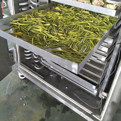 Food Industrial Freeze Dryer 200 Kg/Batch PLC Control Air Cooling