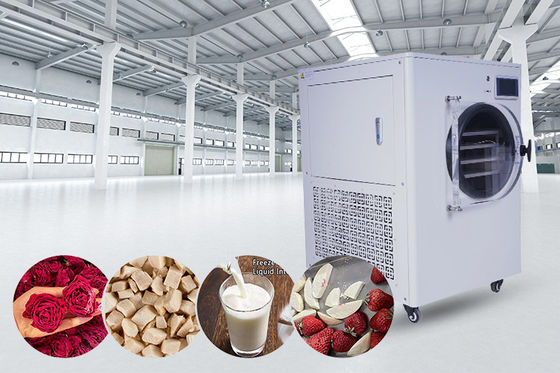 LCD Display  Refrigeration System Household Freeze Dryer For Home And Food Preservation