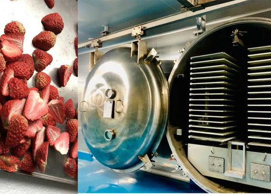 1000kg Vacuum Freeze Drying Machine With PLC Remote Control
