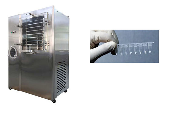 Vacuum Stayfresh Freeze Dryer 6kg/Batch Capacity Automatic
