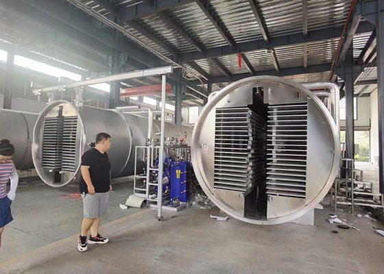 Medium Industrial Vacuum Freeze Drying Machine Food Vegetable