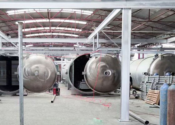 18-24 Hours Vacuum Lyo Freeze Dryer 100KG/Batch