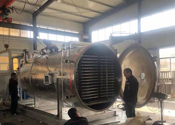 Air Cooling 50Kg 100Kg Industrial Vegetable Food Vacuum Freeze Dryer